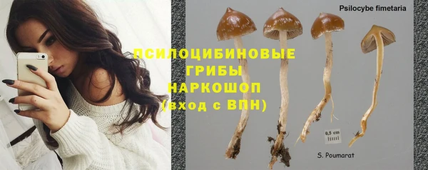 твердый Покров
