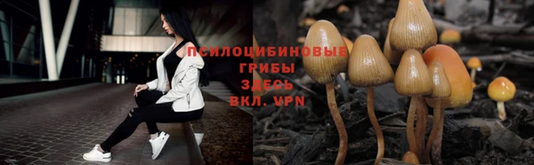 экстази Карпинск