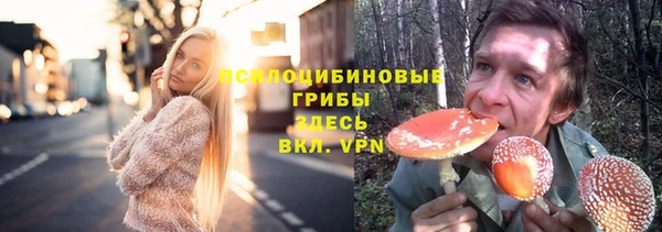 экстази Карпинск